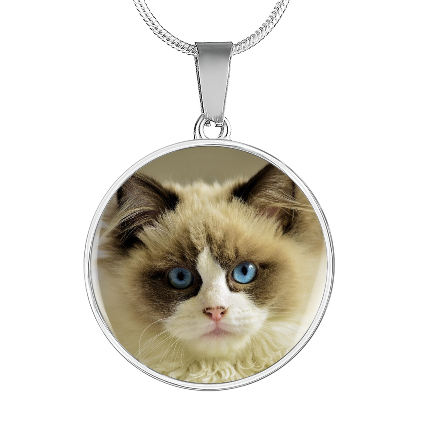 Rainbow Bridge Cat Photo Necklace | Loss of Cat Memorial Circle Pendant